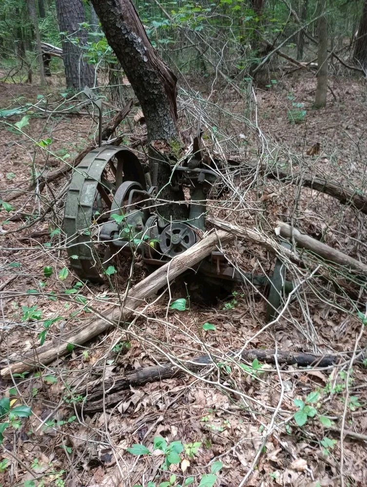 Gambar diunggah dening Jon