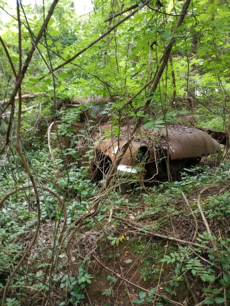 Gambar diunggah dening Jon