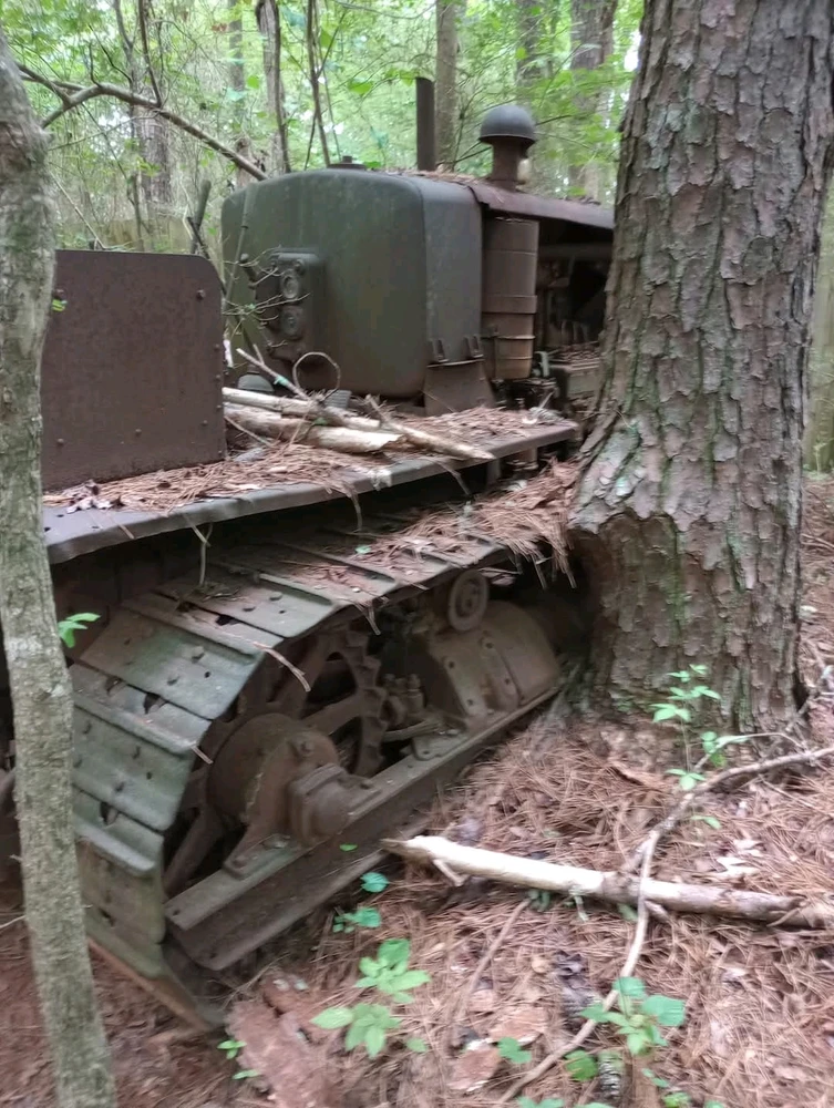 Gambar diunggah dening Jon