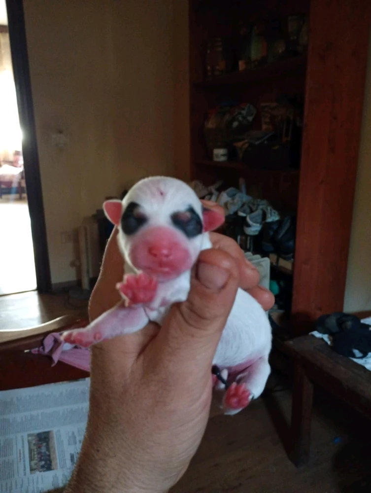 GIF caricata da Elisabetta🌙🦇