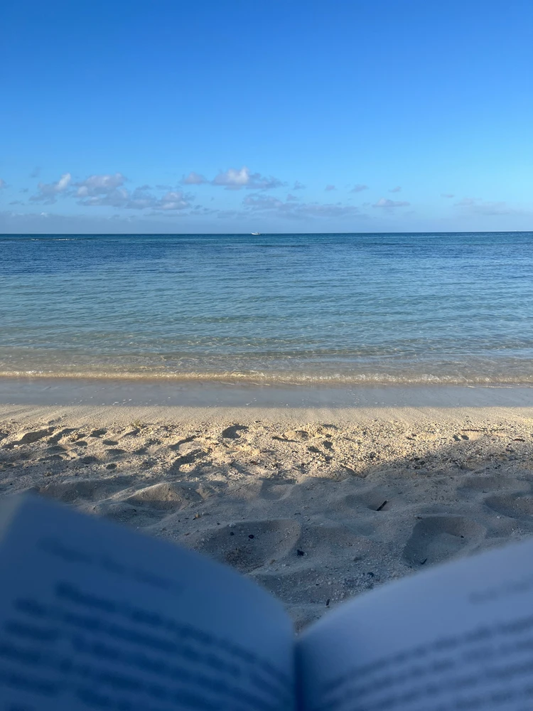 GIF uploaded by Yordys