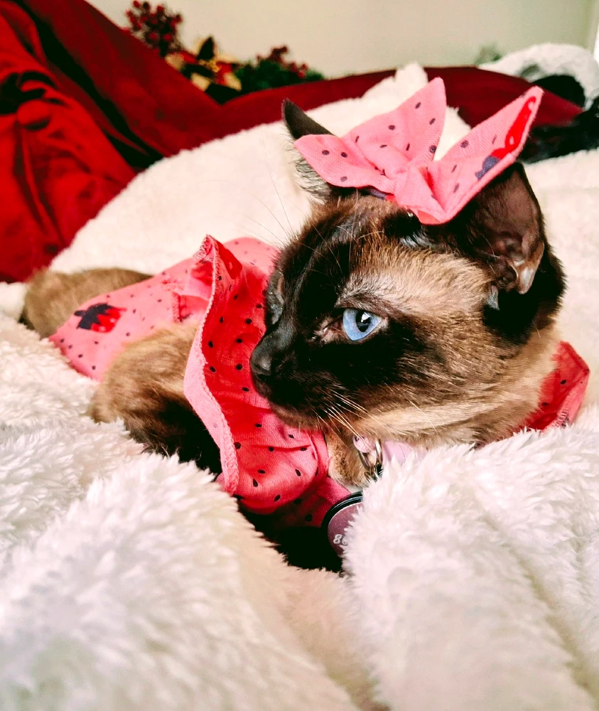 Image uploaded by Kimmy