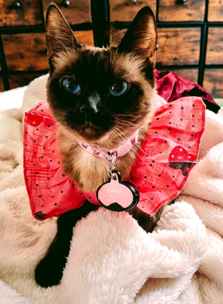 Image uploaded by Kimmy