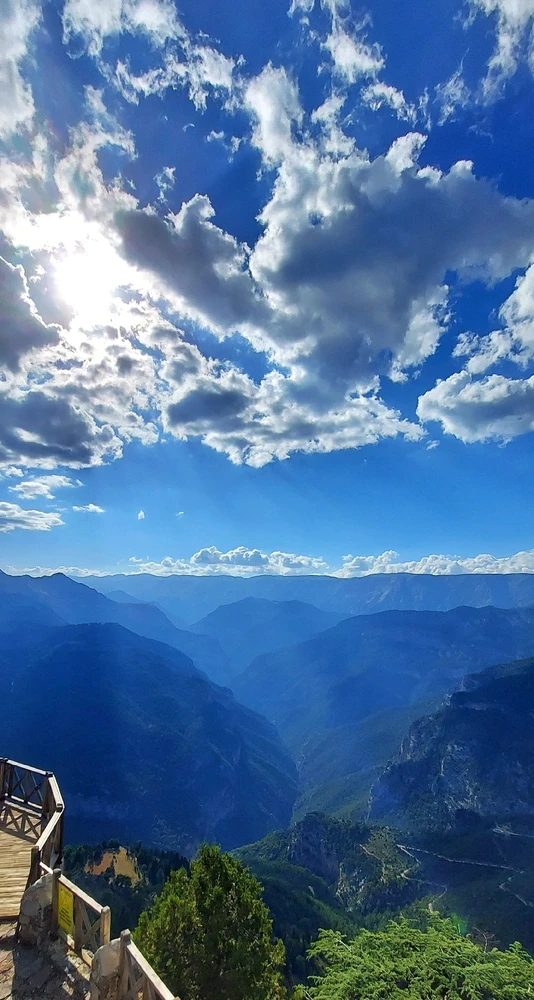 Image uploaded by Onur