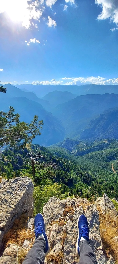 Image uploaded by Onur