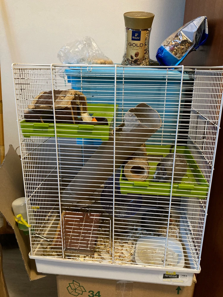 Obrázek nahrál Sam