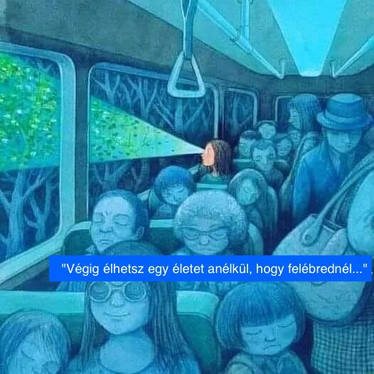 Tamás által feltöltött GIF