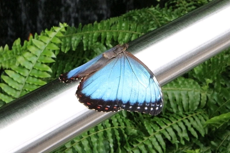 Image uploaded by Matt