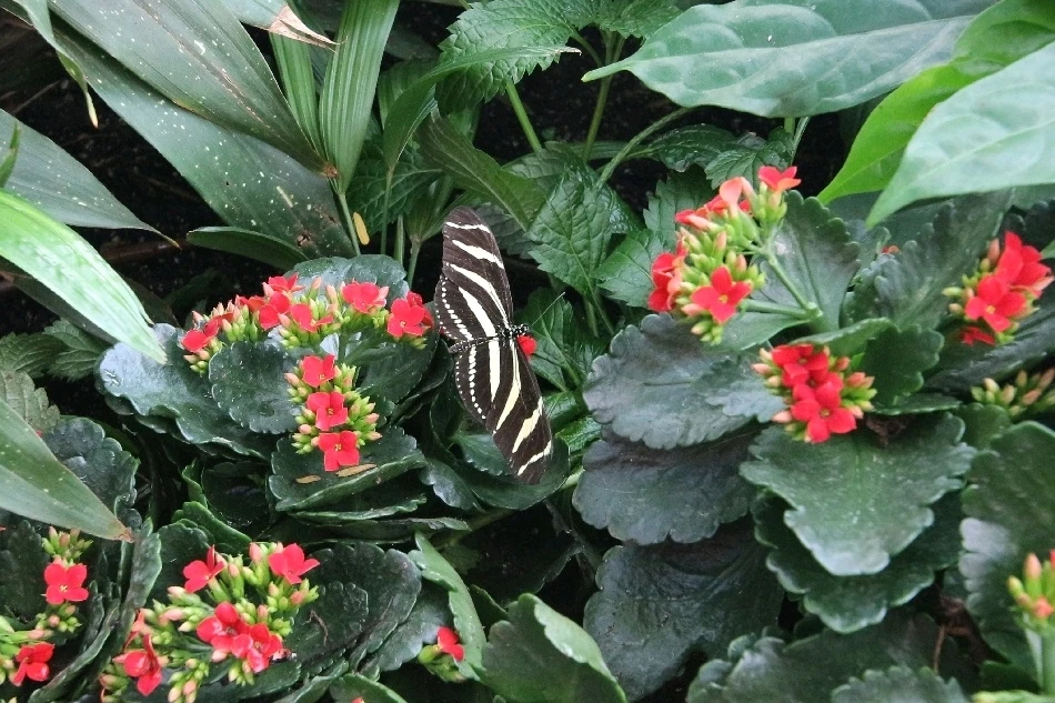 Image uploaded by Matt