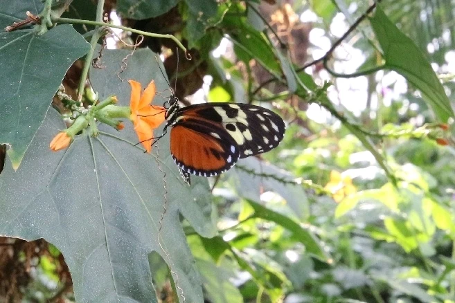 Image uploaded by Matt