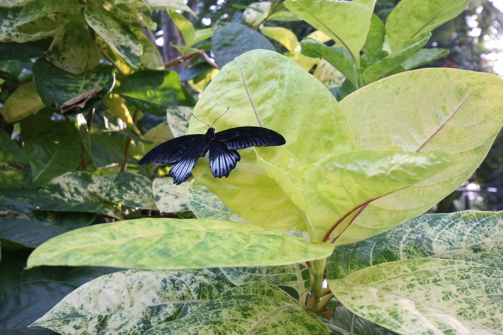 Image uploaded by Matt