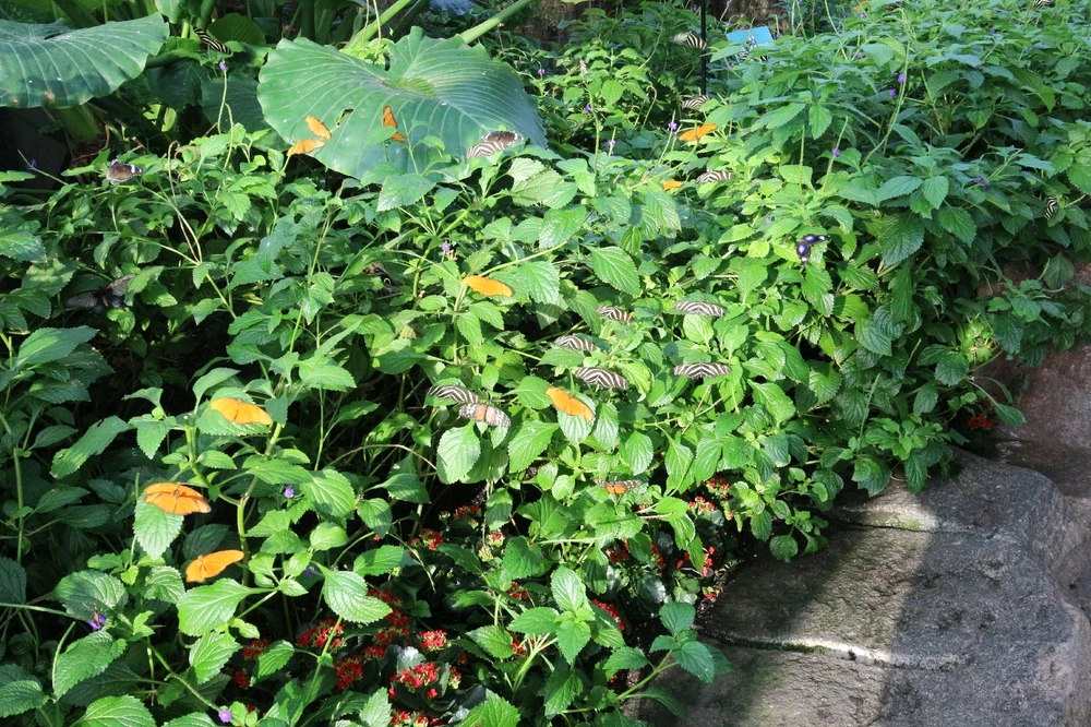 Image uploaded by Matt