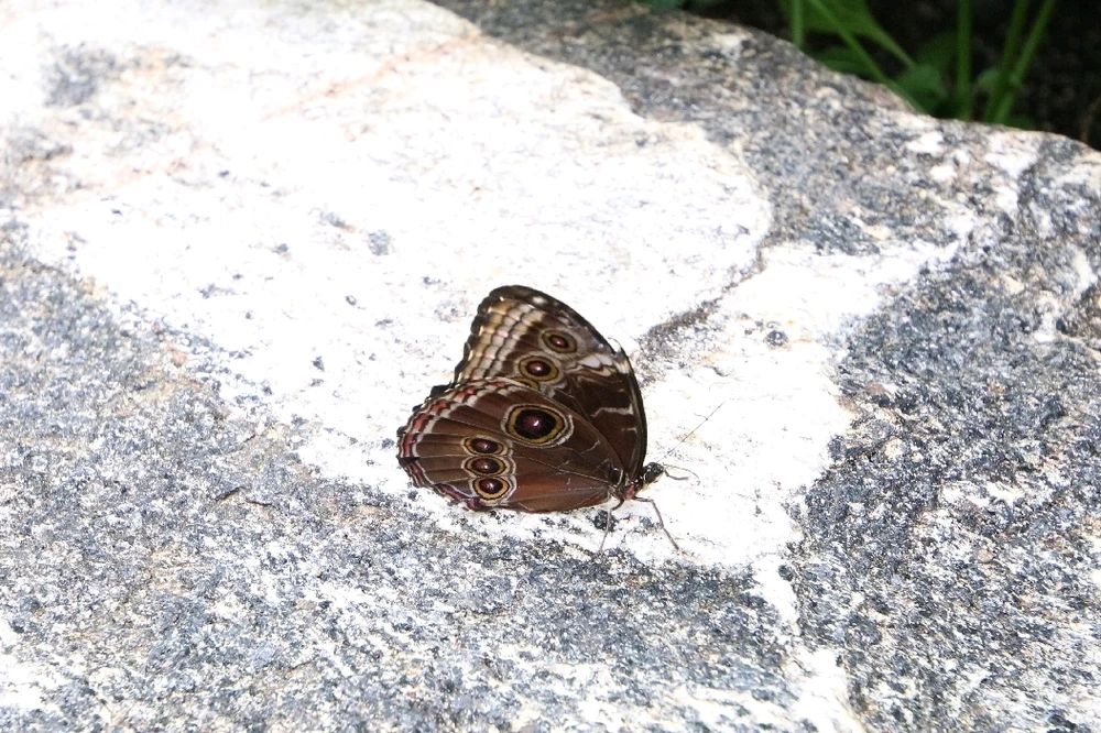 Image uploaded by Matt