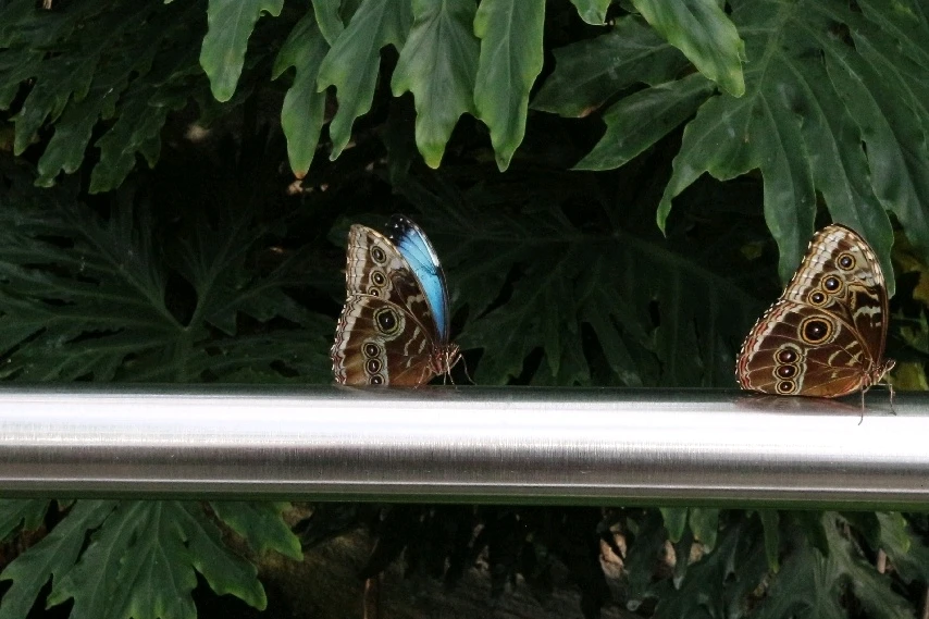 Image uploaded by Matt