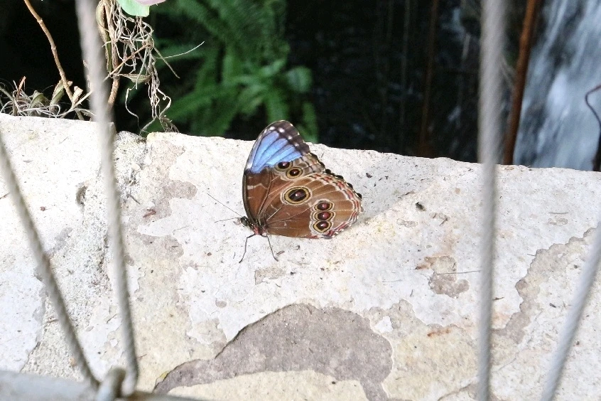 Image uploaded by Matt