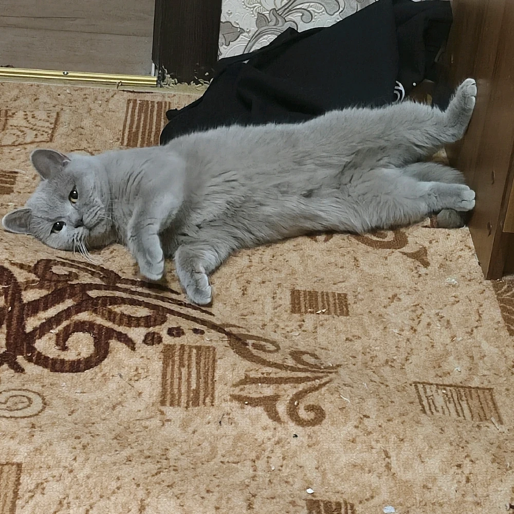 Фото загрузил Lerí