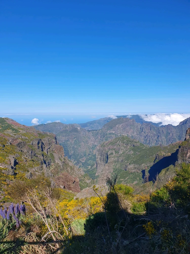 GIF încărcat de Vlad