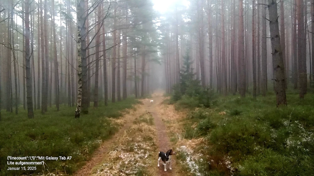 GIF hochgeladen von Maik