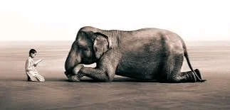 Зображення завантажив Black Mirror (⁠◔⁠‿⁠◔⁠)