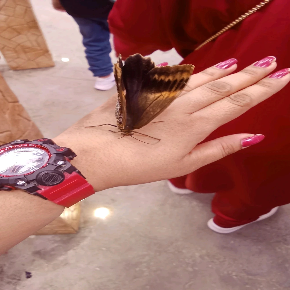 GIF uploaded by M❣️
