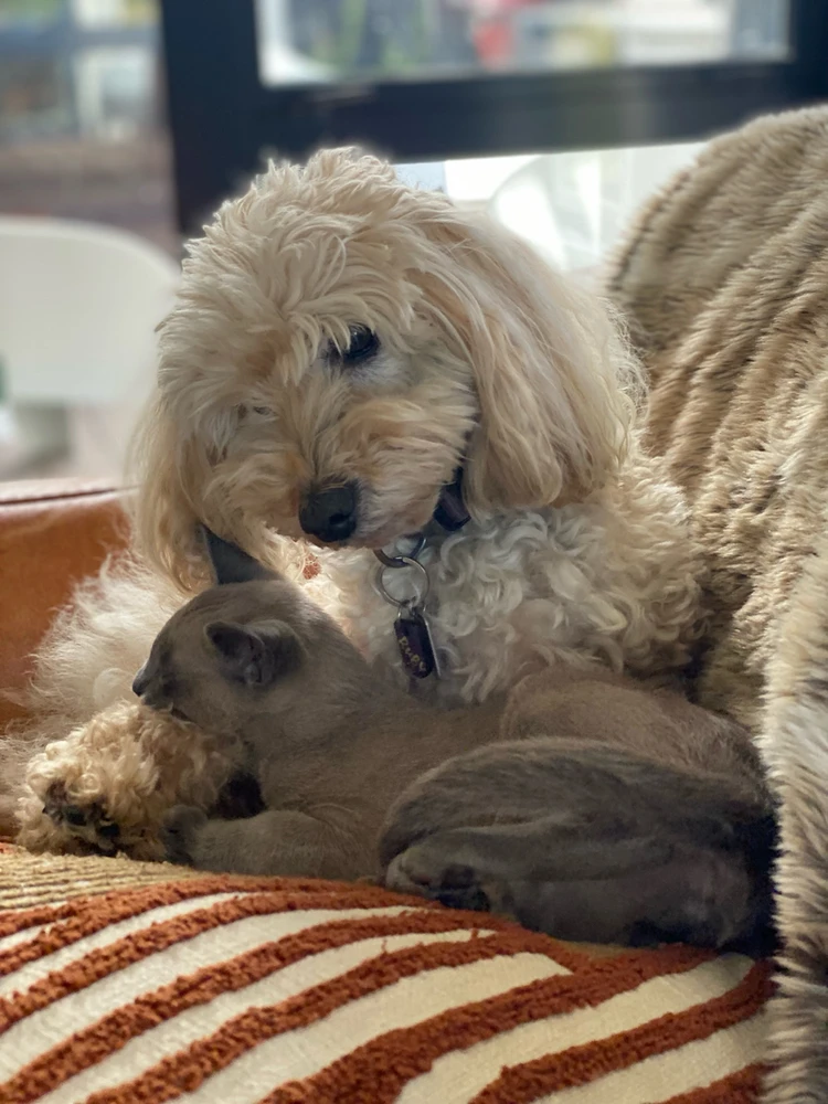 Image uploaded by Courtney