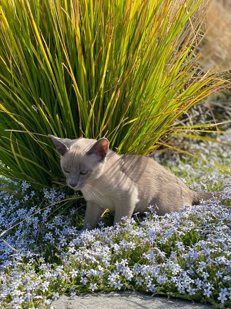 Image uploaded by Courtney