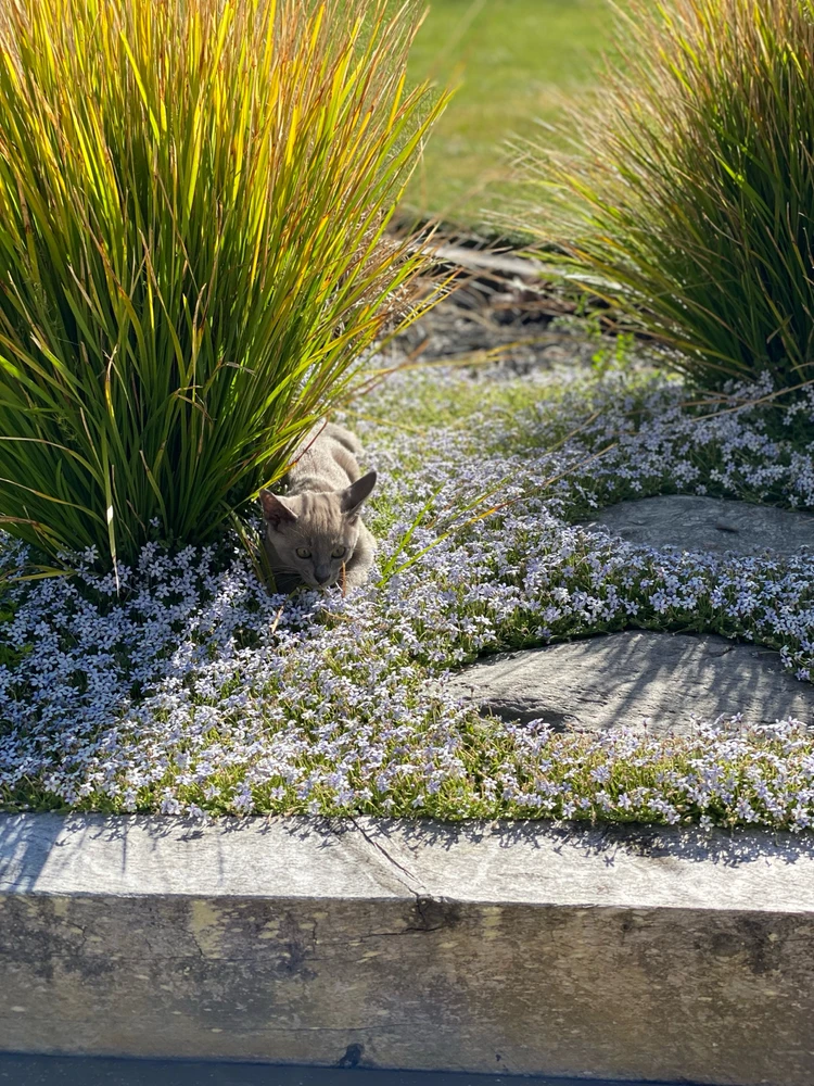 Image uploaded by Courtney