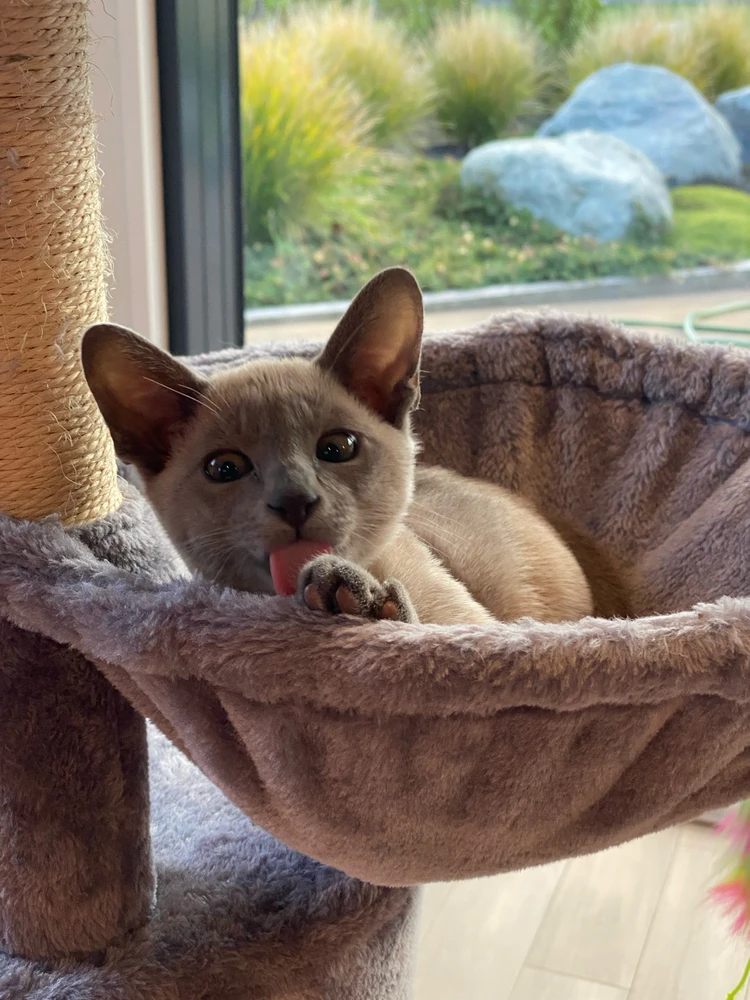 Image uploaded by Courtney