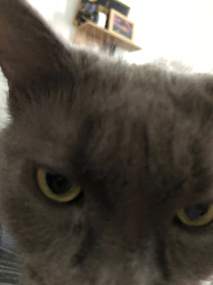 Obrázek nahrál Jan Janda