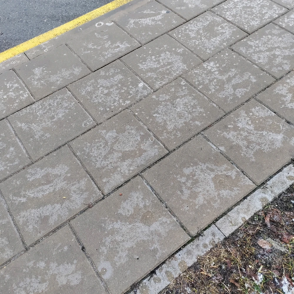 Image uploaded by Sofija