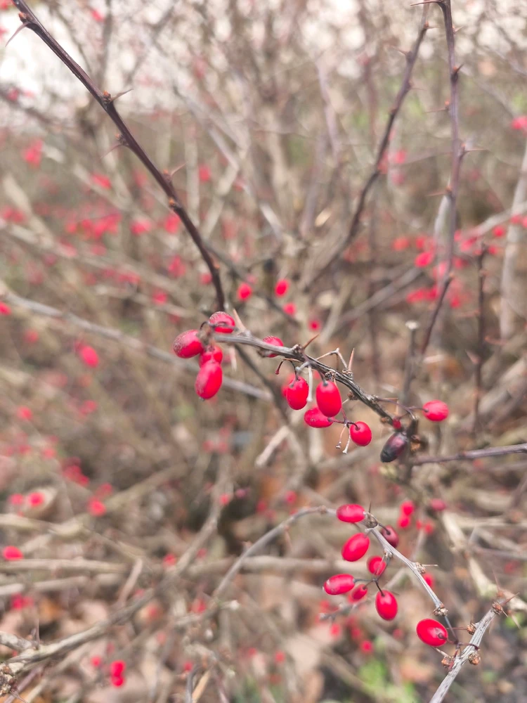 Obrázek nahrál 🧿