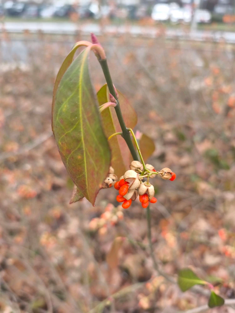 Obrázek nahrál 🧿