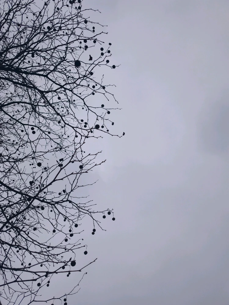 Obrázek nahrál 🧿