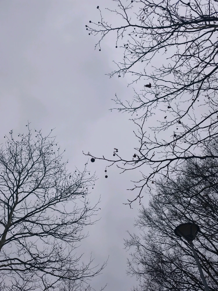 Obrázek nahrál 🧿