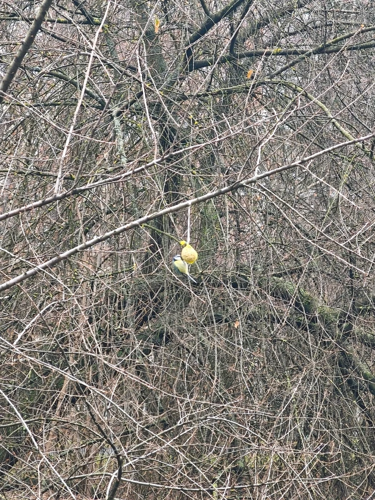 Obrázek nahrál 🧿