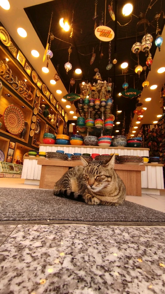 GIF uploaded by Fatih