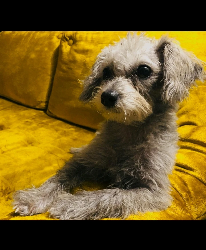 GIF uploaded by justin