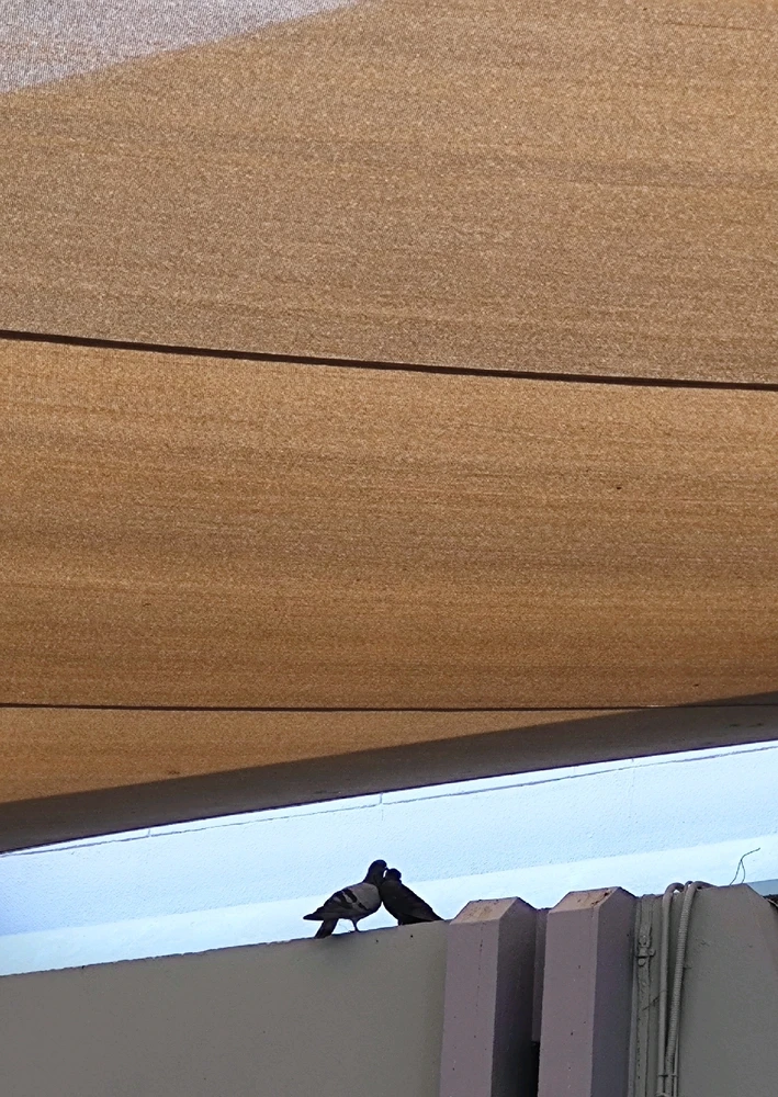 GIF uploaded by Orange