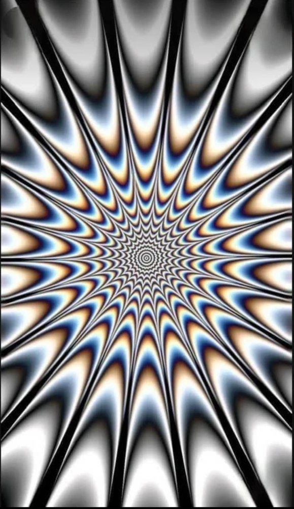 GIF uploaded by Scott