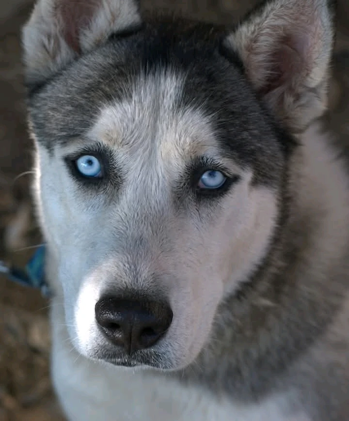 GIF uploaded by Thomas Anderson