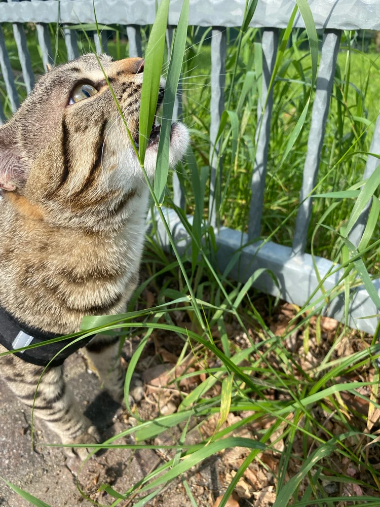 Immagine caricata da Alexandra