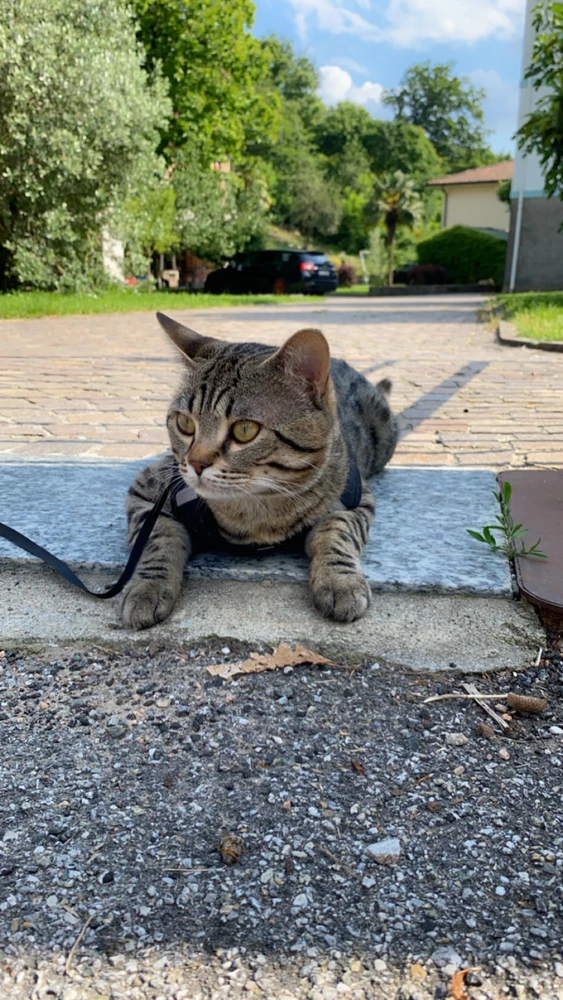 Immagine caricata da Alexandra