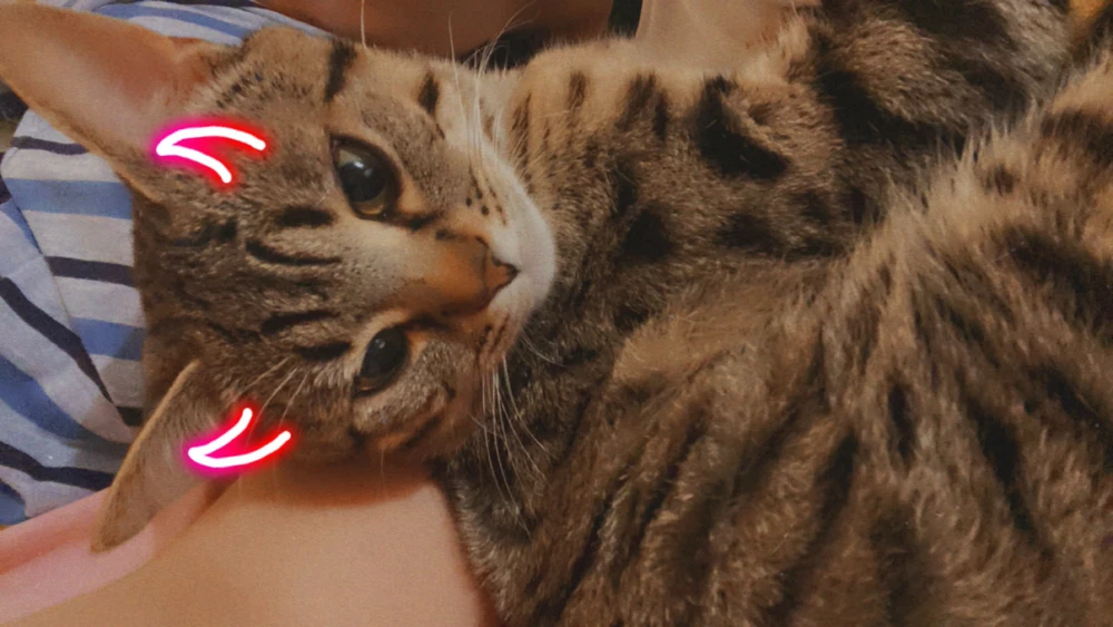 Immagine caricata da Alexandra