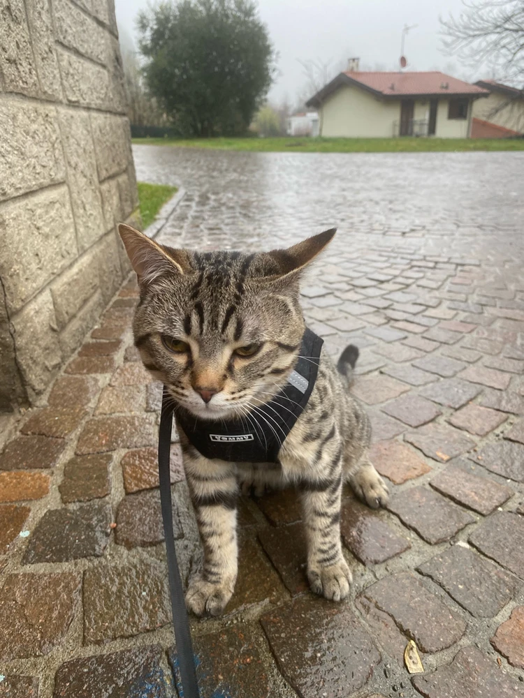 Immagine caricata da Alexandra