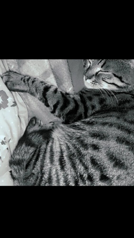 Immagine caricata da Alexandra