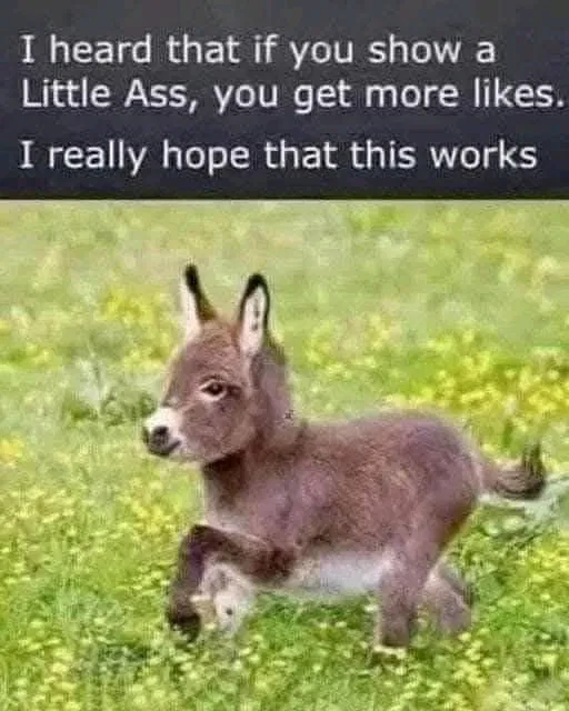 Image uploaded by Samwhich