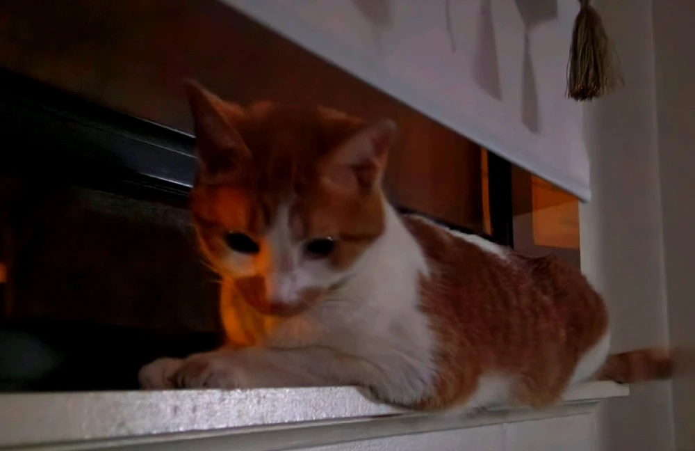 Image uploaded by Eric