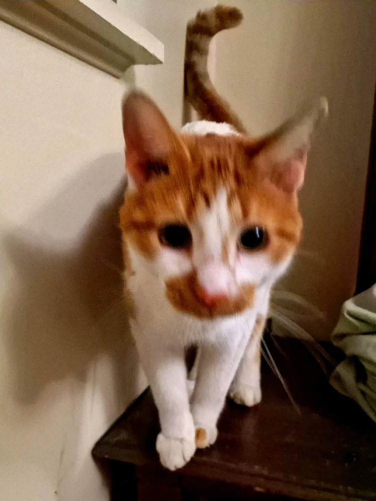 Image uploaded by Eric