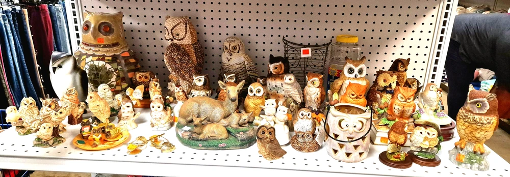 Image uploaded by Eric