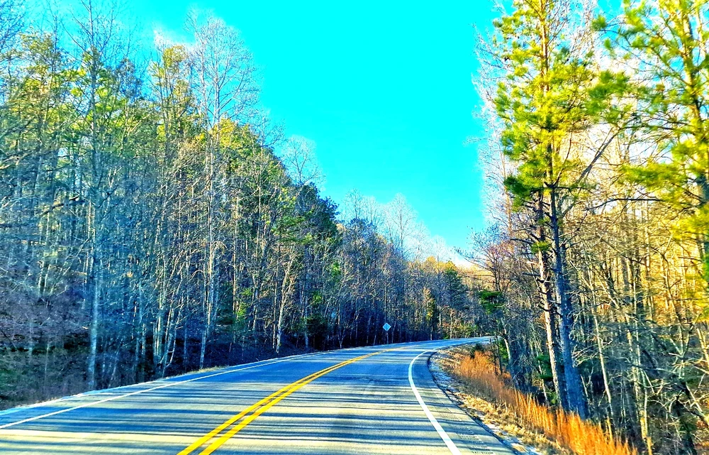 Image uploaded by Eric